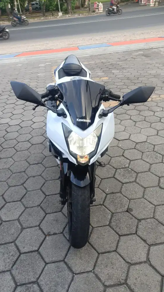 Kawasaki Ninja Mono 250
