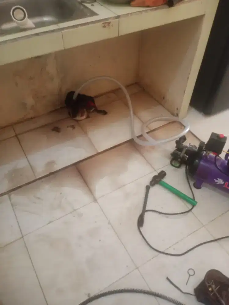 JASA LEDENG DAN SALURAN PIPA MAMPET