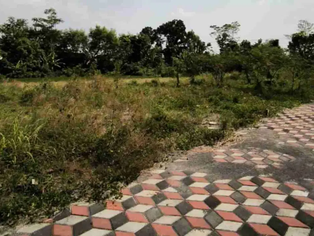 Tanah Strategis Di Gito Gati Dekat Masjid Suciati, SCH Mall