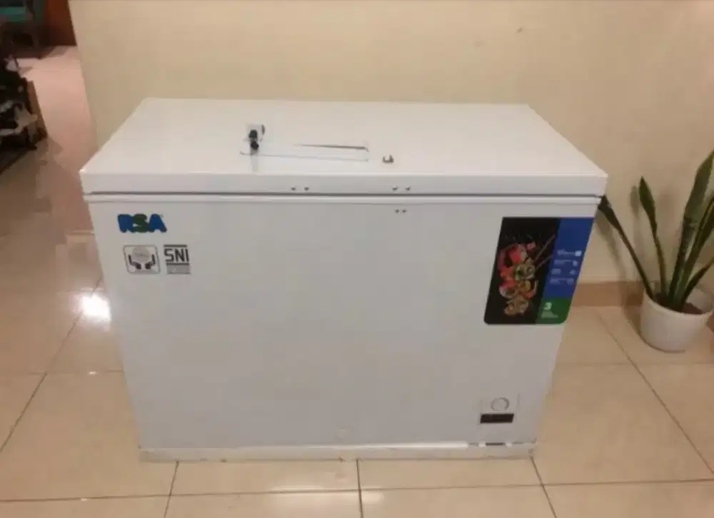 Freezer RSA 310L