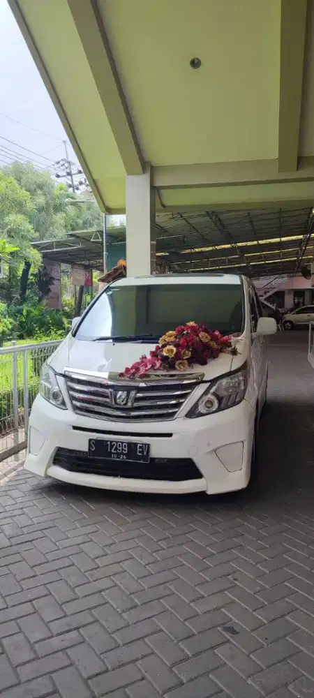 Sewa Alphard Murah (Wedding Car)