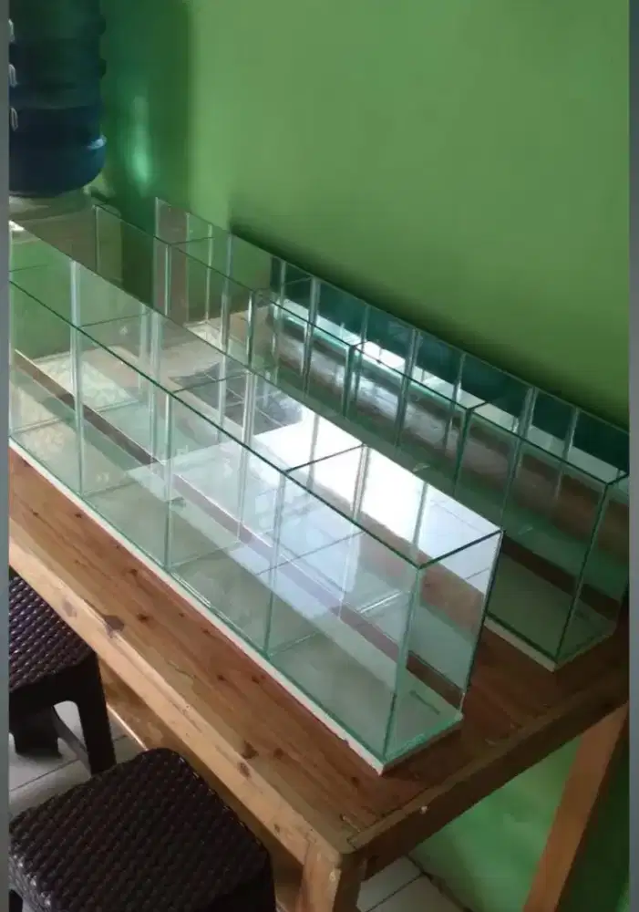 Etalase kaca display buah jus ukuran 100x12x30 5 kotak sekat