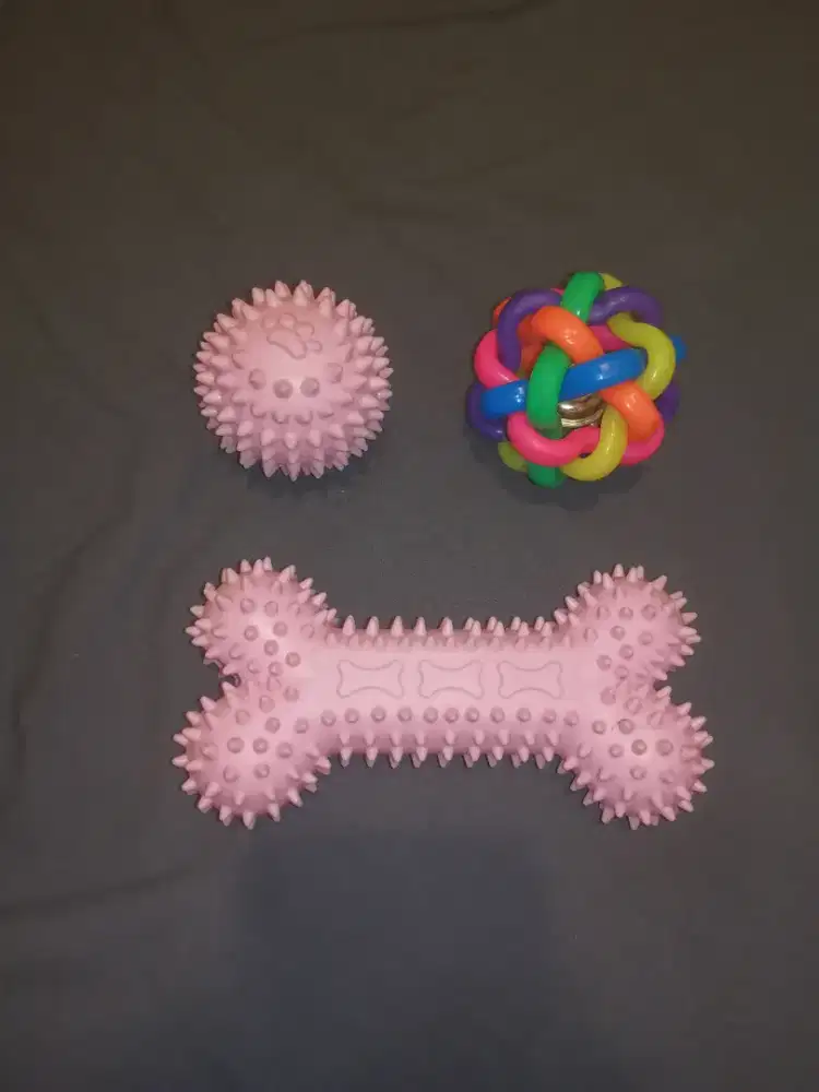 Cat/Dog Toys New