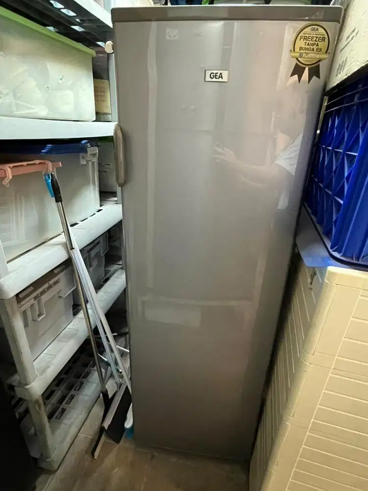 GEA Upright Freezer GF 24 DC