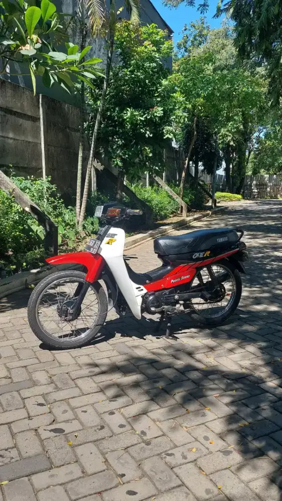 1990 Yamaha Alfa