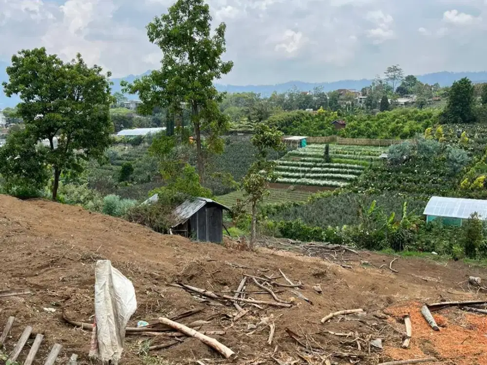 Tanah di jual murah Premium 1.704 m² di Kota Batu – View Kota & Malang Tanpa Terhalang