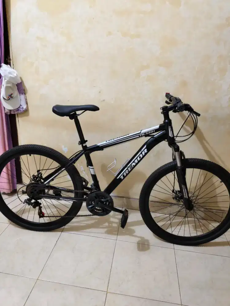 Sepeda Gunung / Mtb