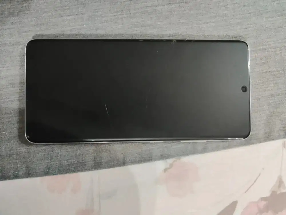 Samsung S21 Ultra