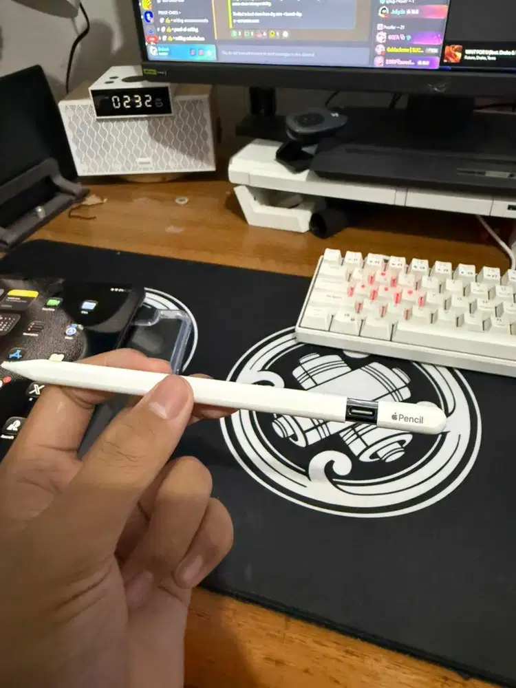 APPLE PENCIL USB TYPE C