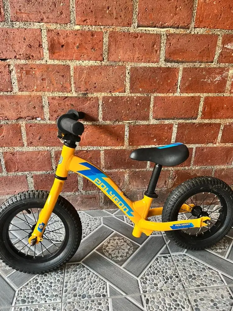 Push Bike Polygon