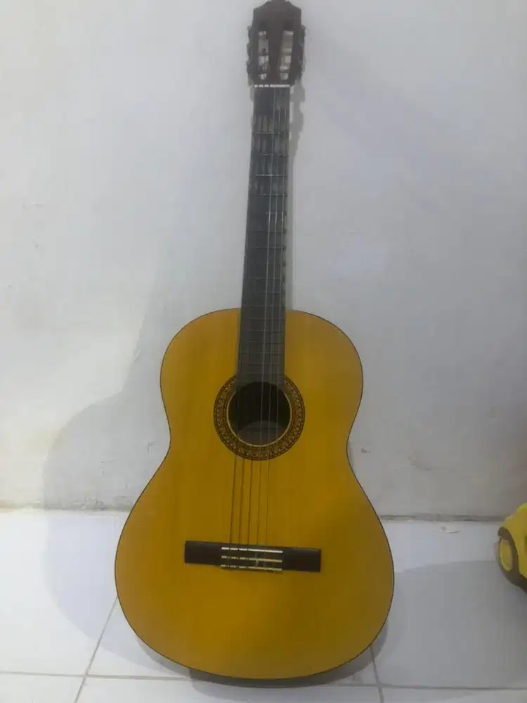 Gitar Yamaha c315