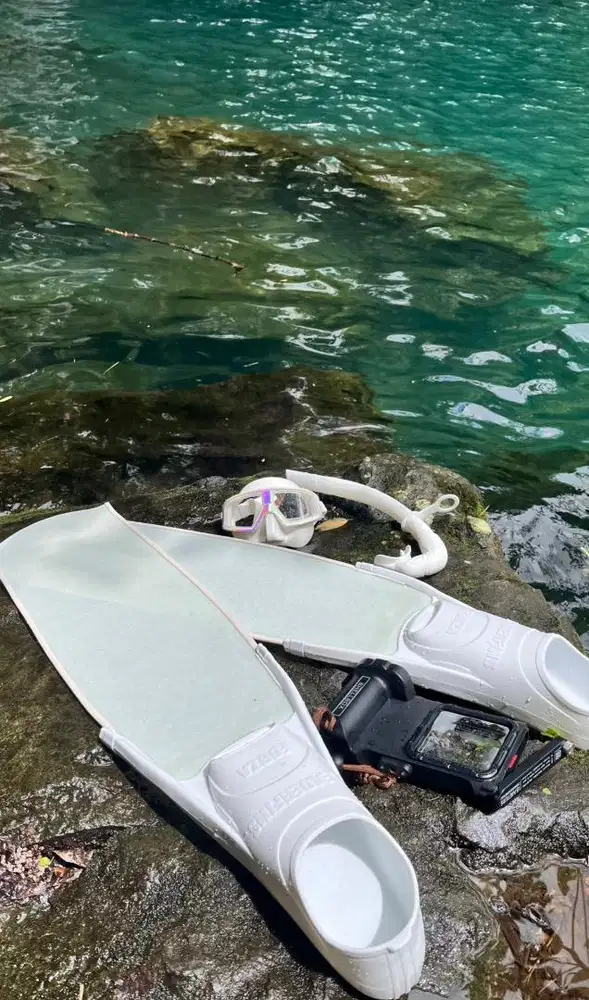 Long Fins Freedive