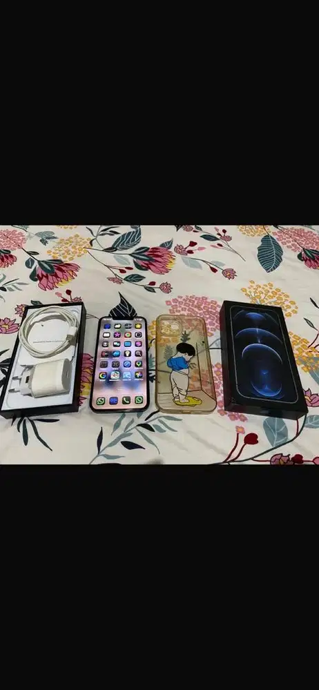 Iphone 12 Pro Max 128Gb Inter Imei Aman 100%