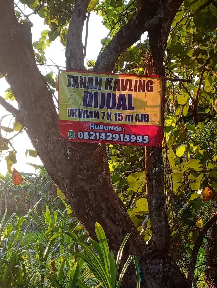 Tanah view pegunungan