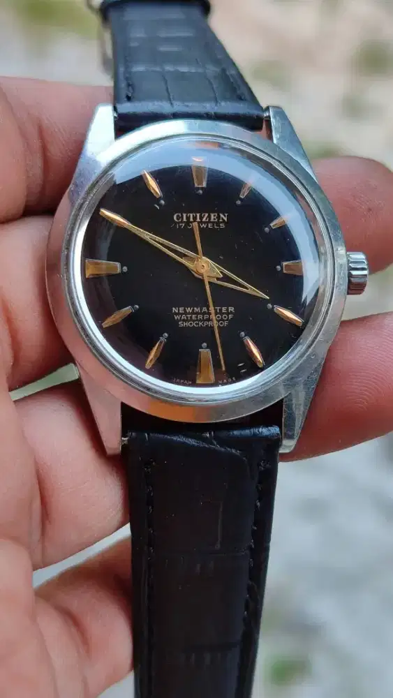 Citizen Homer newMaster 60's