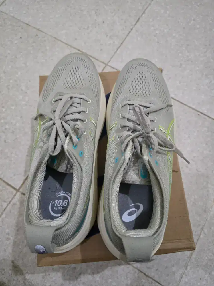 Asics Gel Kayano 31