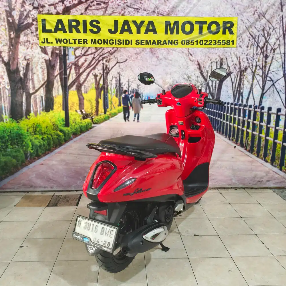 New gren Filanno full ori
