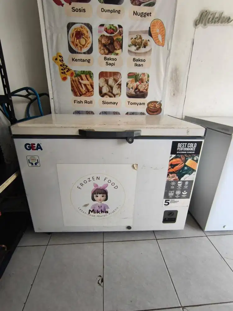 Freezer GEA 308L Normal