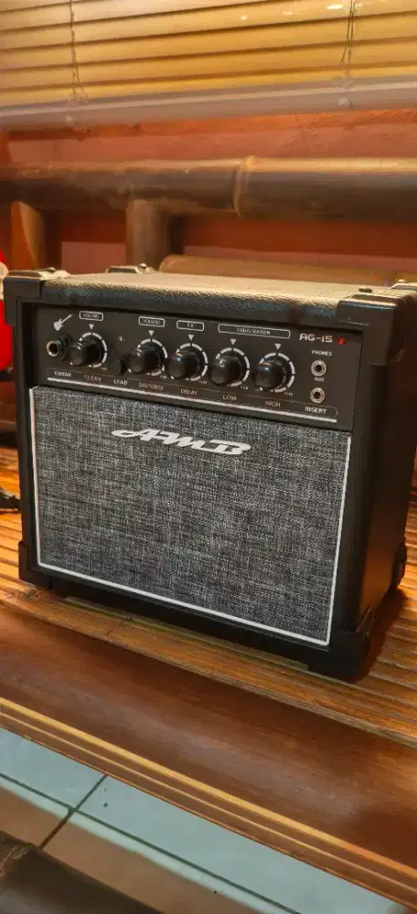 Ampli Gitar AMD 30 Watt effect & Delay