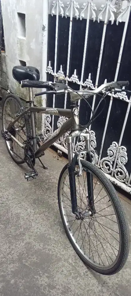 Sepeda Polygon Jadul