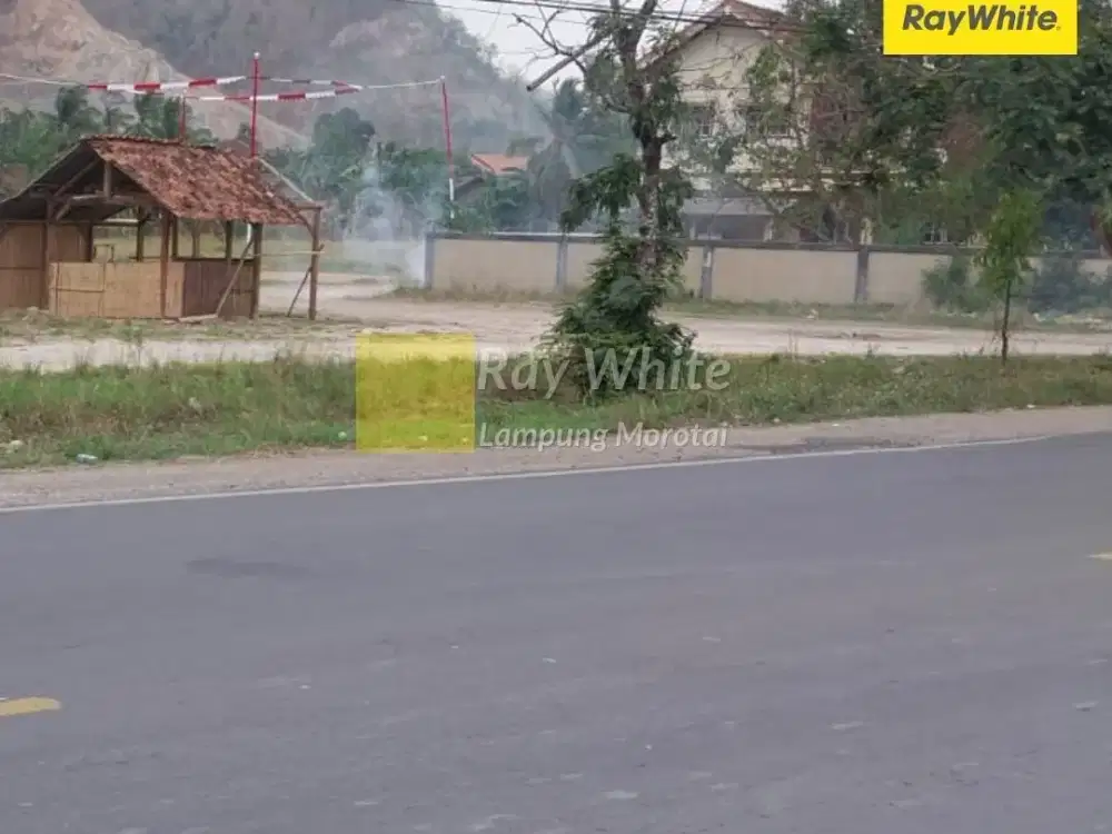 Dijual Tanah Di Gading Rejo, Pringsewu (KOde : AY 3555)