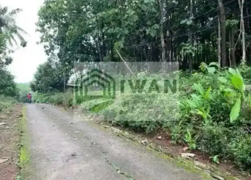 Tanah Pekarangan Strategis Dekat Jalan Raya Utama Poros Desa Free BBN