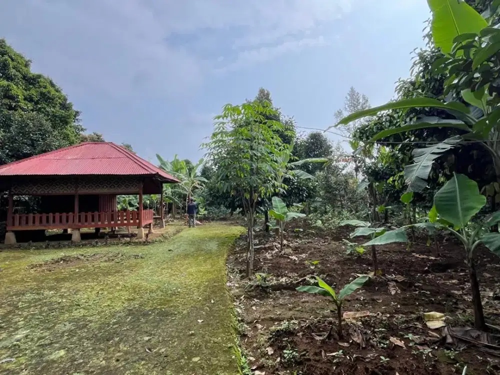 Dijual Tanah Kebun Manggis Durian + Gazebo di Wanayasa Purwakarta