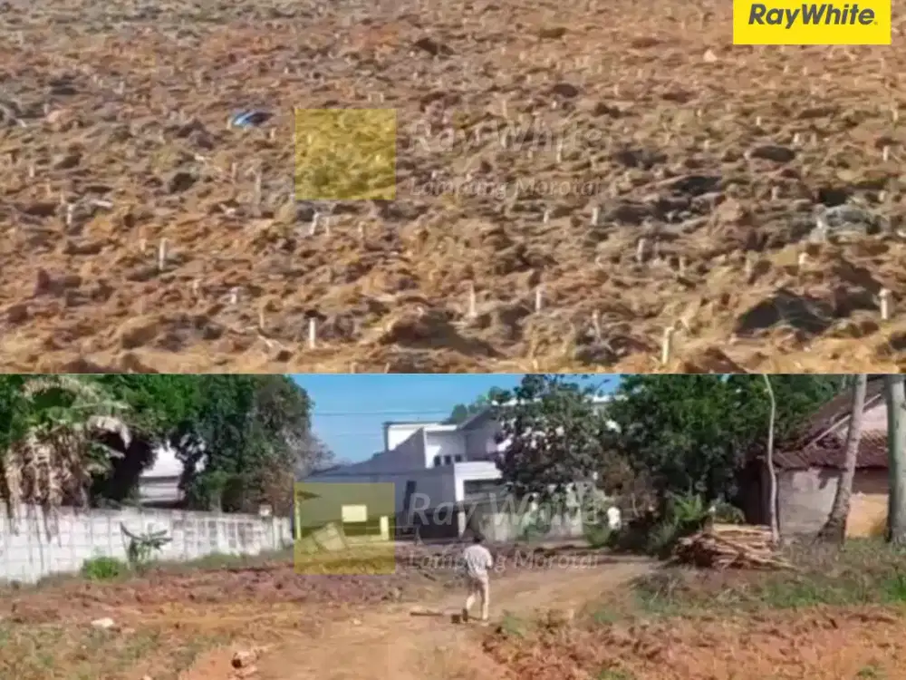 Dijual Tanah DI Sepyih Jaya, Lampung Tengah (Kode : AY 3557)
