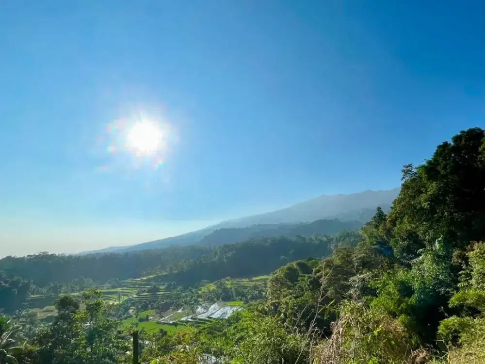 Tanah Kebun di Desa Wisata Cihanjawar Bojong Purwakarta Dijual Murah