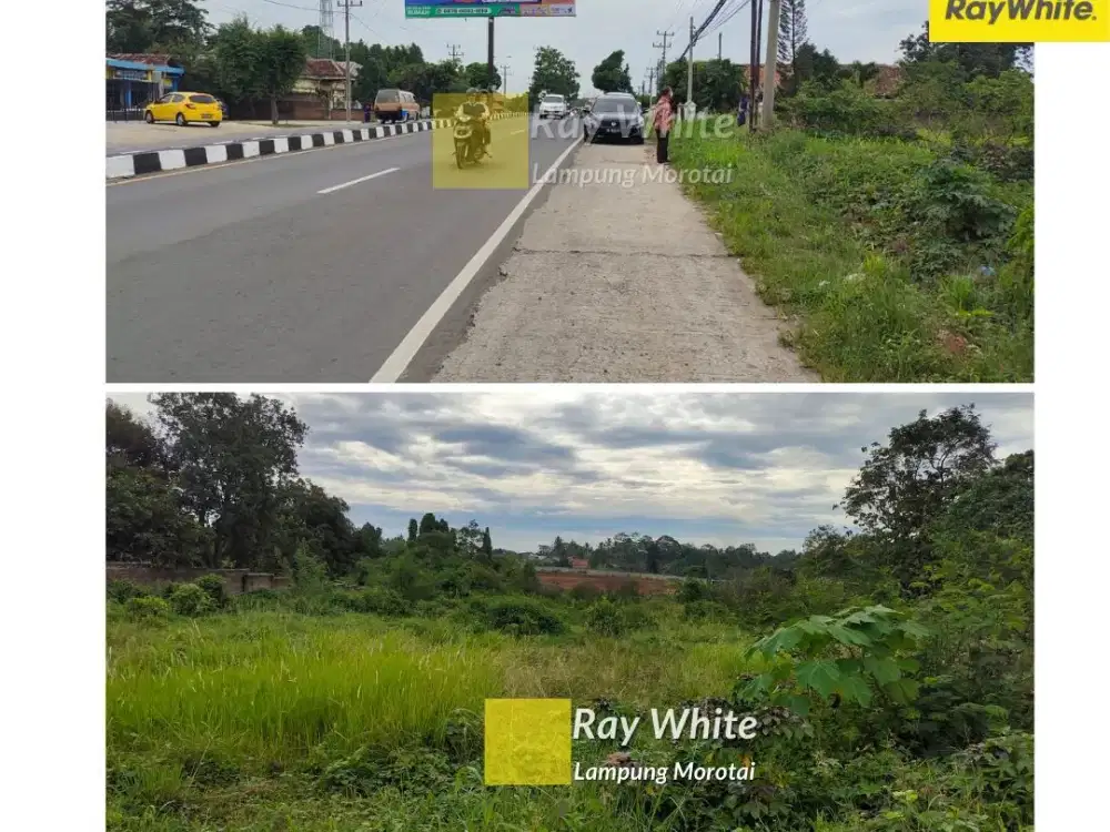 Dijual Tanah Di Natar, Lampung Selatan (Kode : AY 3560)