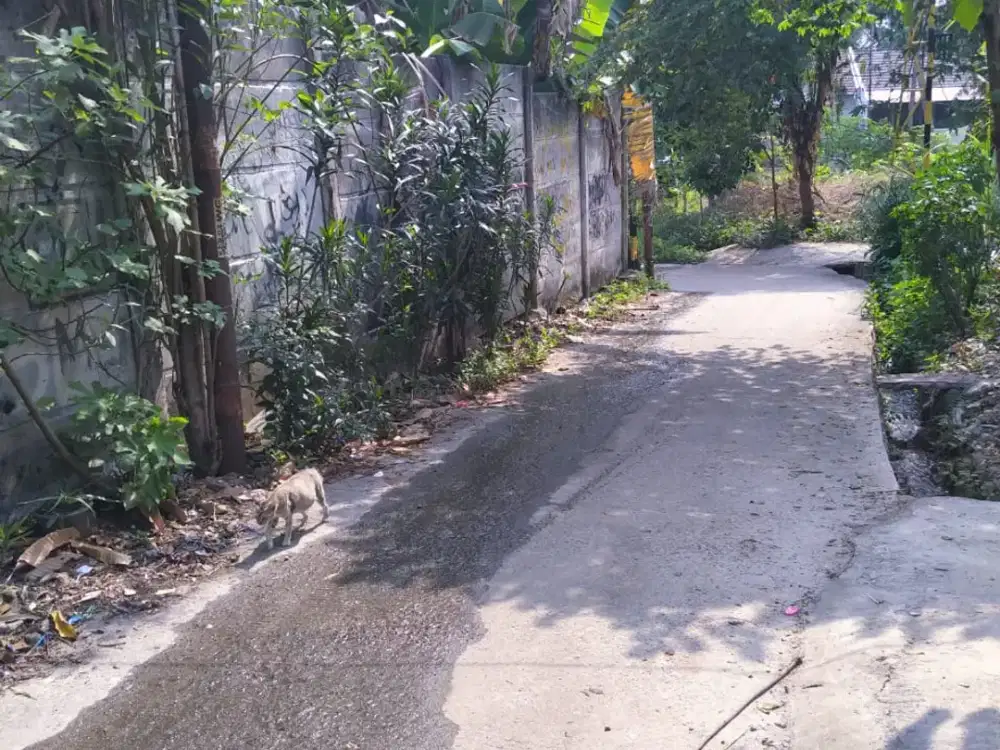 Tanah kebun bagus untuk cluster dekat 2 pintu tol di limo depok