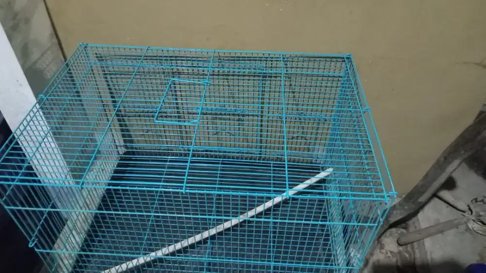 Kurungan burung dan ayam