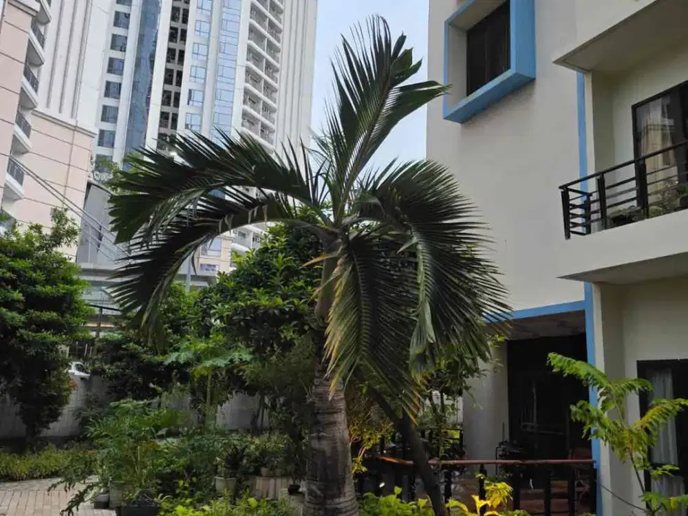 dijual rumah hook exclusive springhill resident golf golden hill kemayoran jakpus
