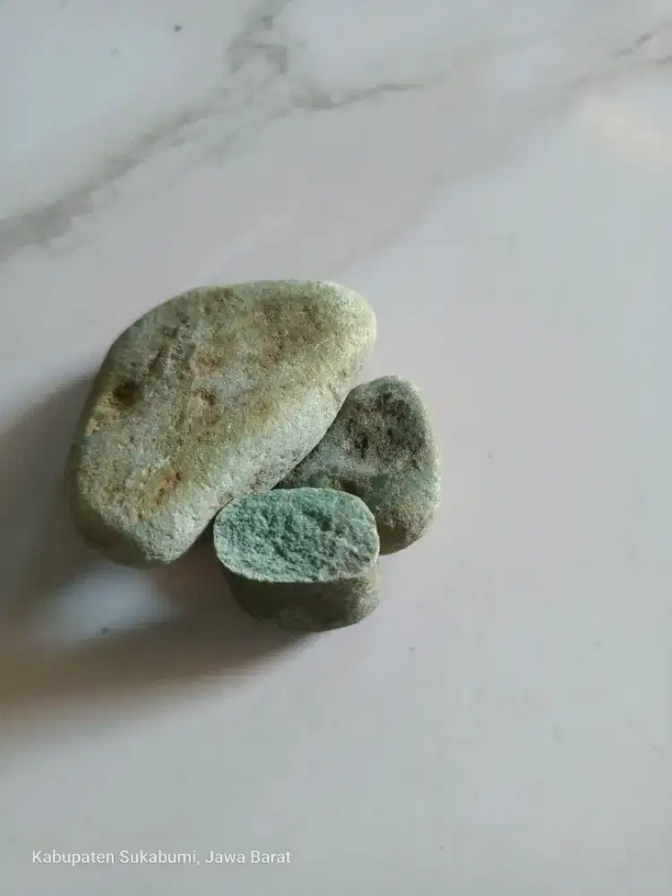 Batu Krikil Koral Hijau Taman