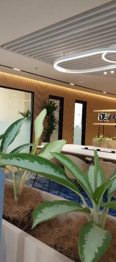 ART , ASISTEN RUMAH TANGGA