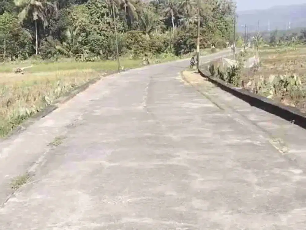 dijual tanah sawah murah,di minggir sleman