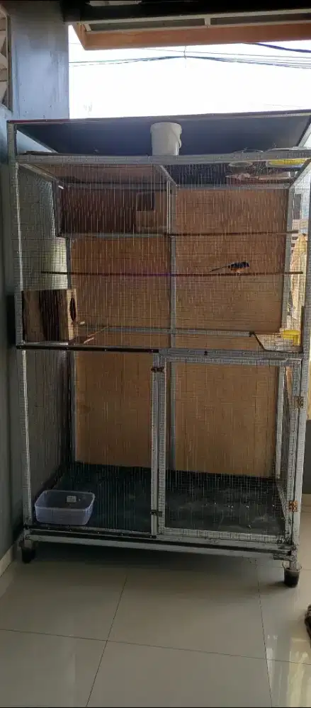 Burung murai dan kandang ternak