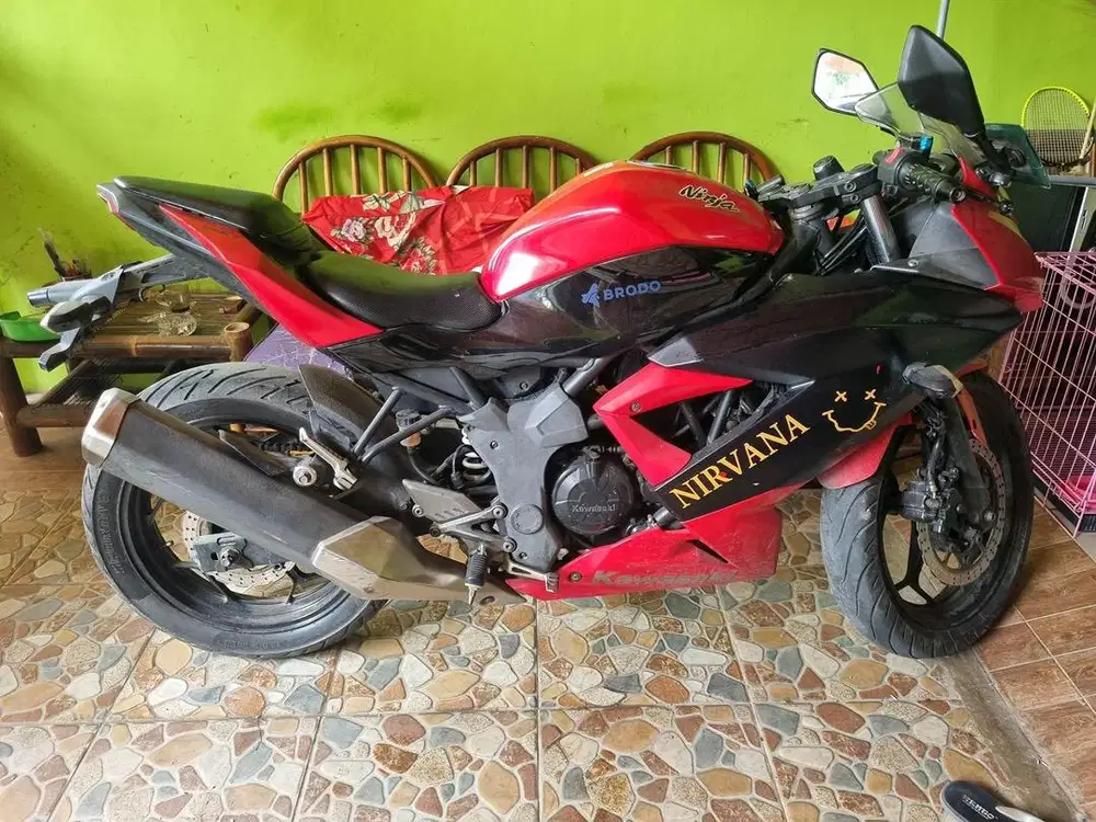 Ninja mono 250cc