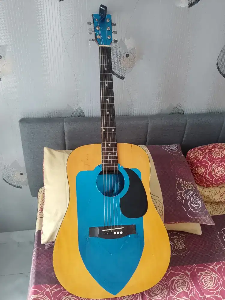 Jual Gitar Akustik dan Efek