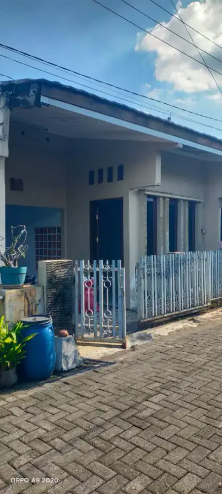 Rumah disewakan