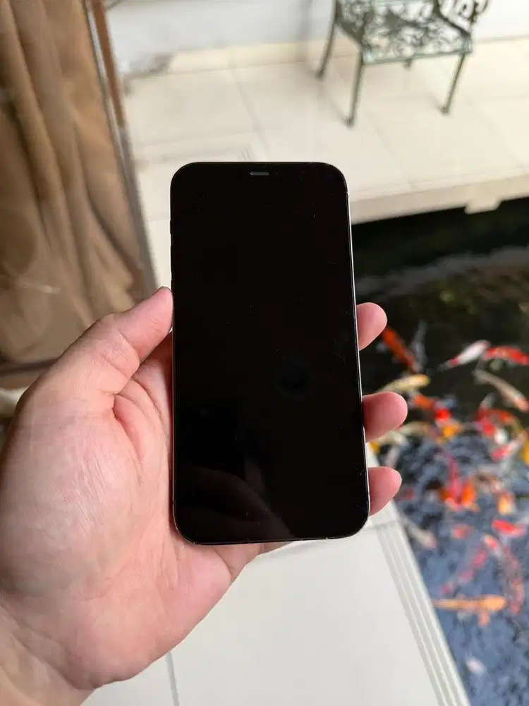 Jual Iphone 12 PRO 512GB ex digimap