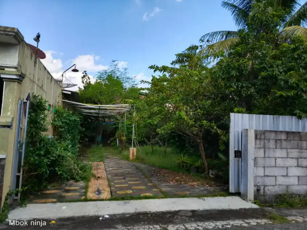 Dijual Tanah 250 m² Sempusari Kaliwates Jember Dekat Hayam Wuruk