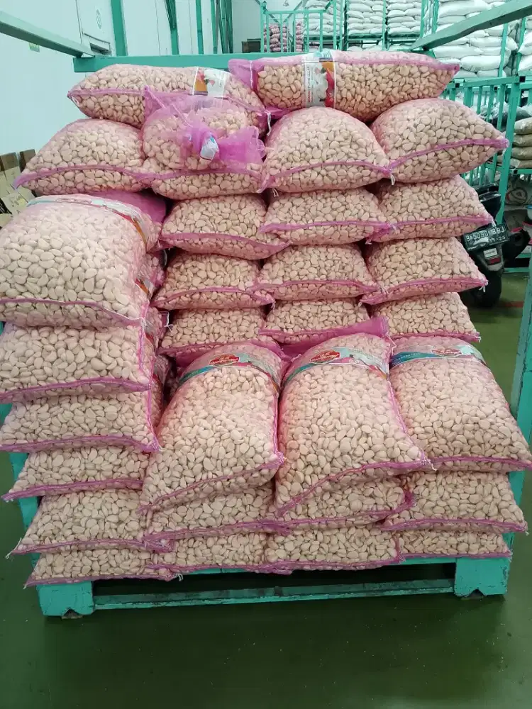 Bawang putih kupas