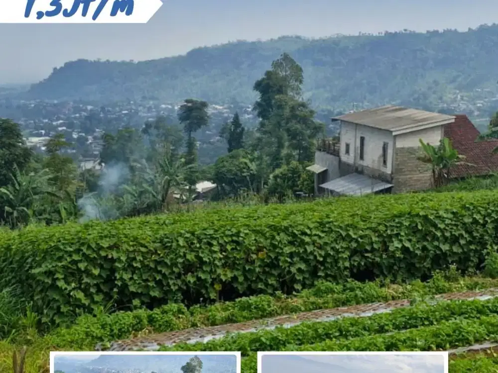 Dijual tanah tegal Segoro Gunung, Ngargoyoso, Karanganyar