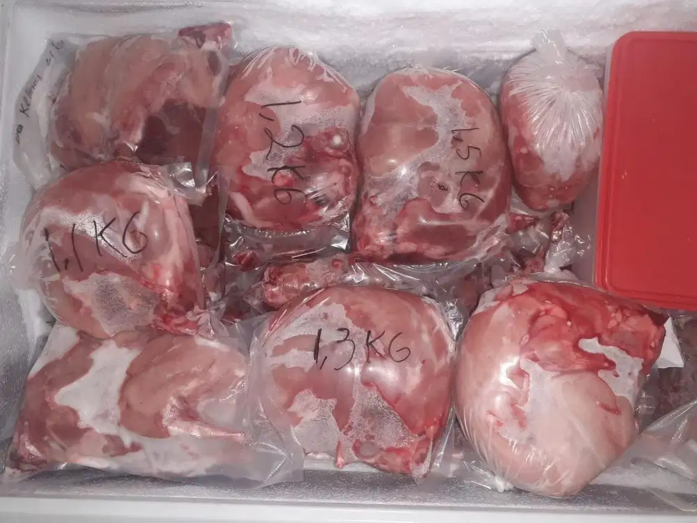 Daging Kelinci Karkas Premium Daging Kelinci