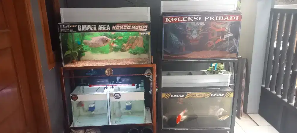 Jual aquarium 700rb