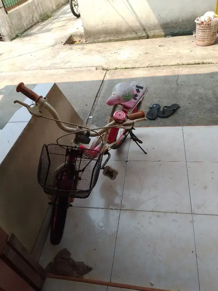 Sepeda anak ukuran 14