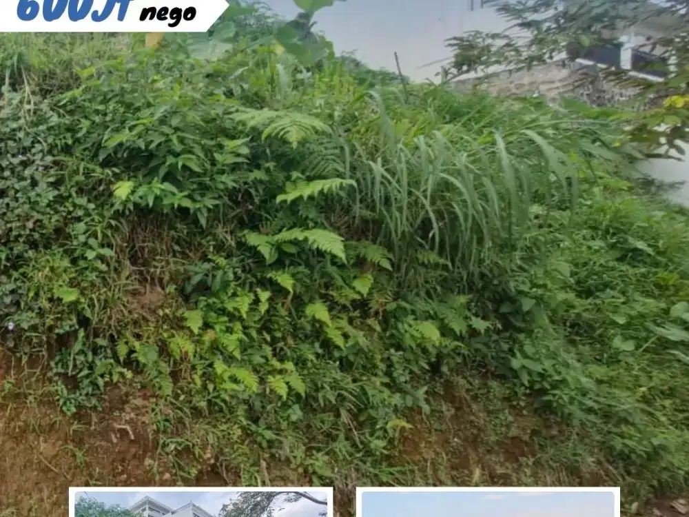 Dijual Pekarangan Desa Kadipeso Kemuning View kebun teh
