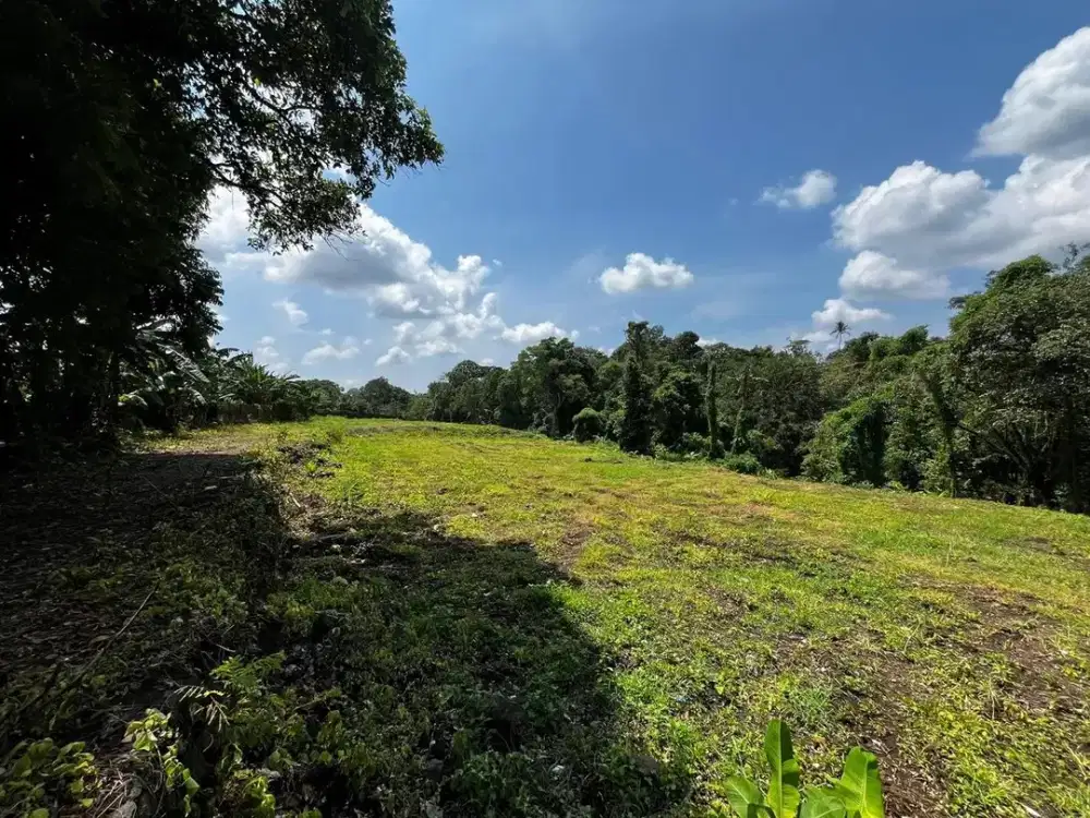 Dijual Tanah Sumampan Kemenuh Gianyar Dekat Ubud Murah Siap Bangun