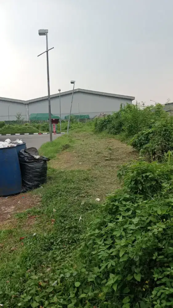 Jasa potong rumput taman rumah kebon dll